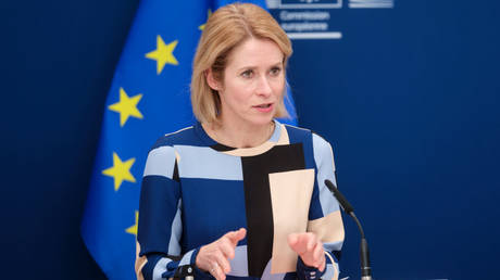 FILE PHOTO: EU High Representative for Foreign Affairs and Security Policy, Kaja Kallas.