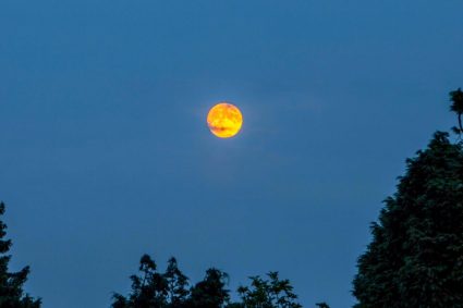 UK set for ‘blood moon’ partial lunar eclipse later this week