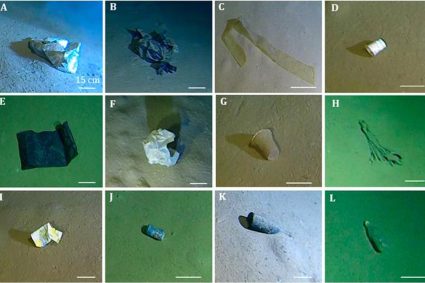 Groundbreaking study finds huge amount of litter at deepest point in Mediterranean Sea